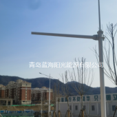青岛蓝海阳光能源有限公司-生产智慧路灯杆综合杆路灯厂家